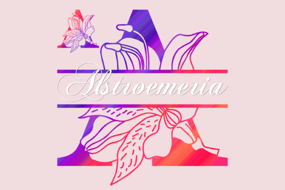 Alstroemeria Split Typeface for Editorial Design