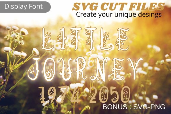 Little Journey Font for Professional Branding